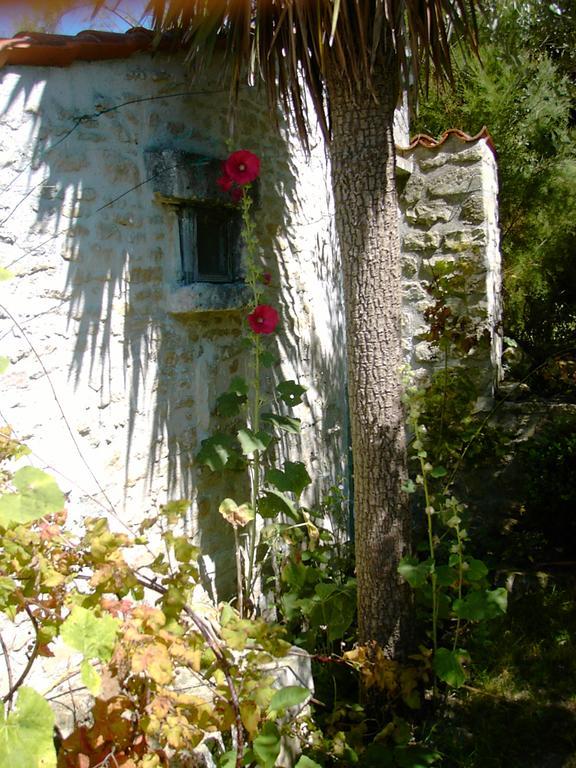 Les Jardins Saint Leonard Hotel Thairé Buitenkant foto